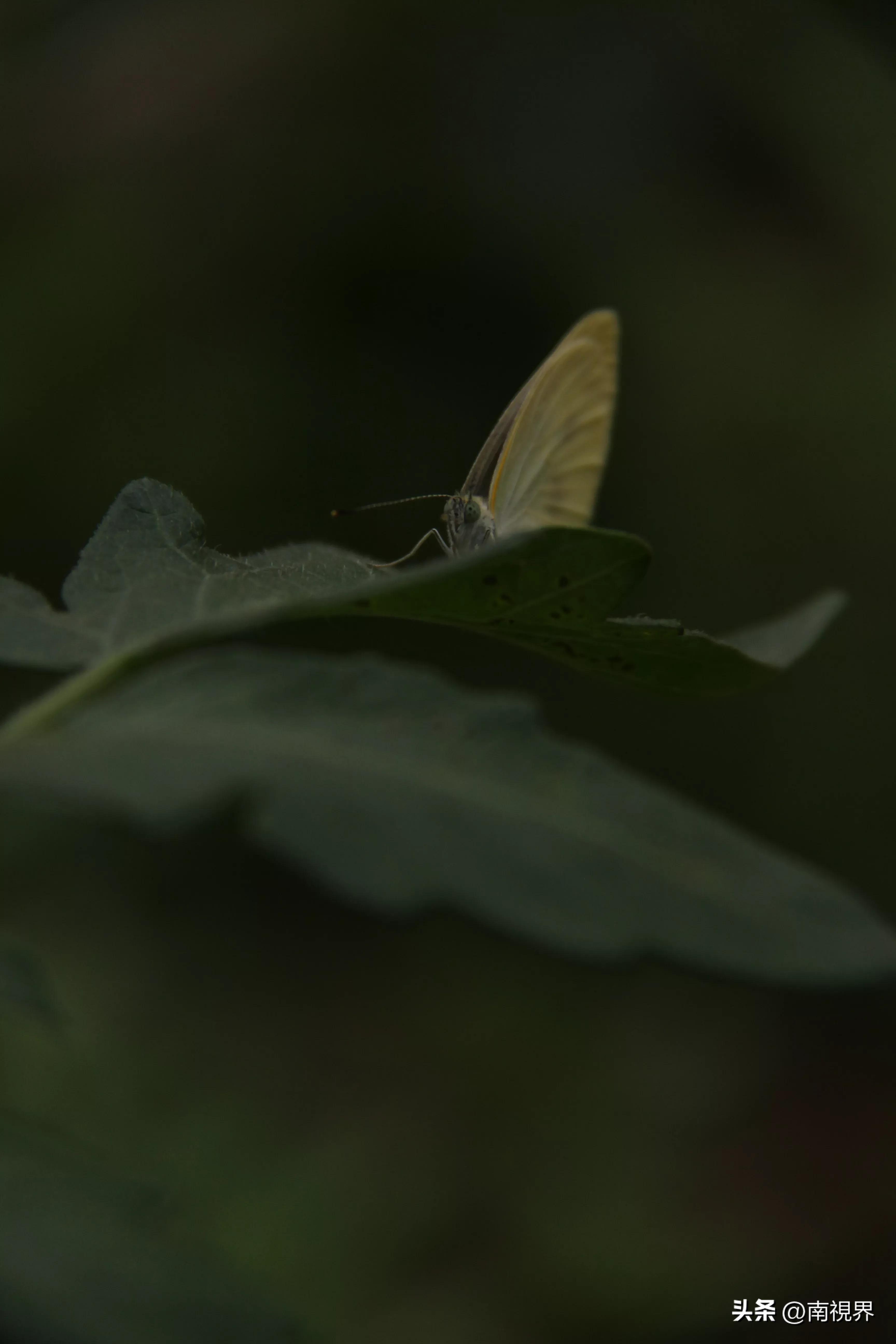 娱乐生活 第143页