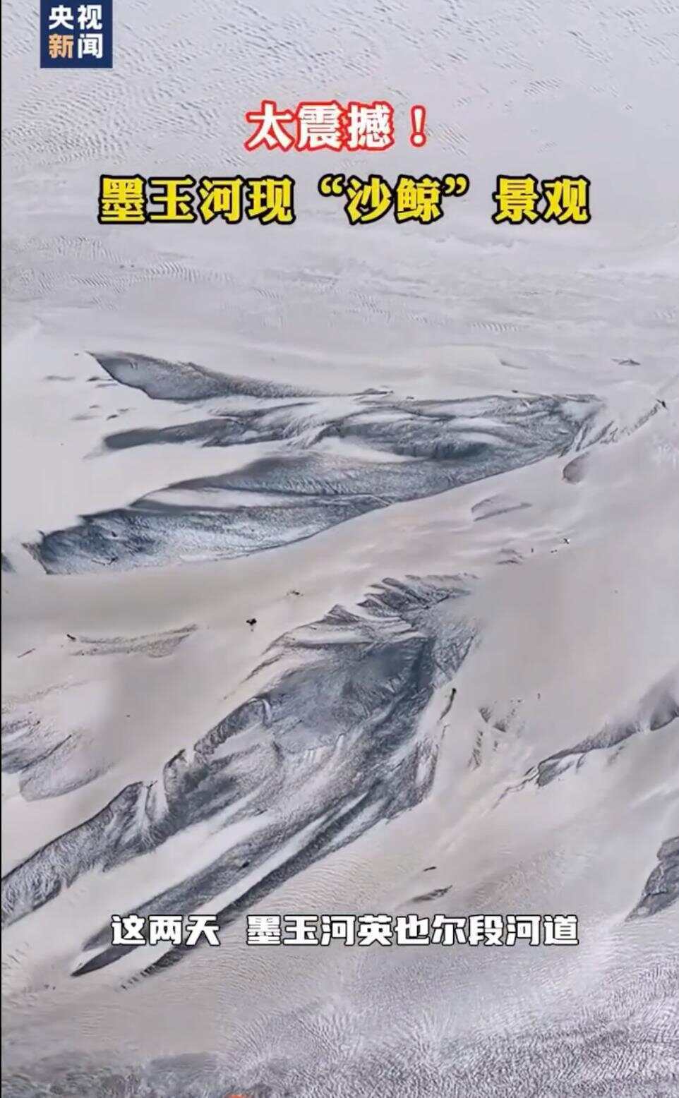 第874页